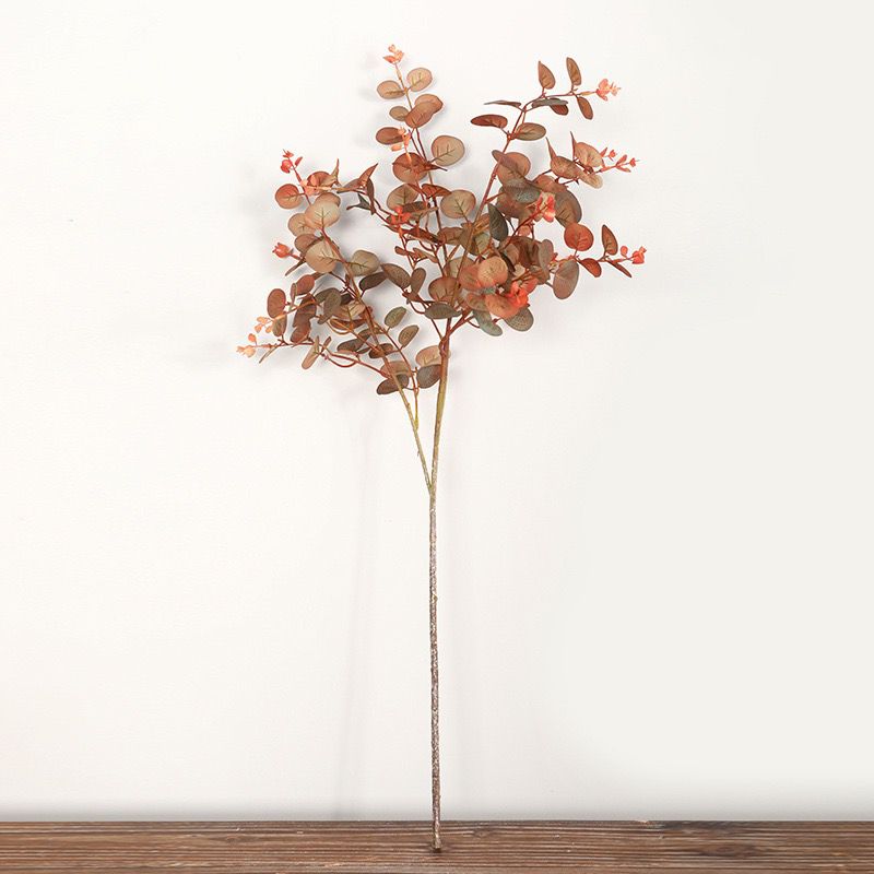 Eucalyptus stems