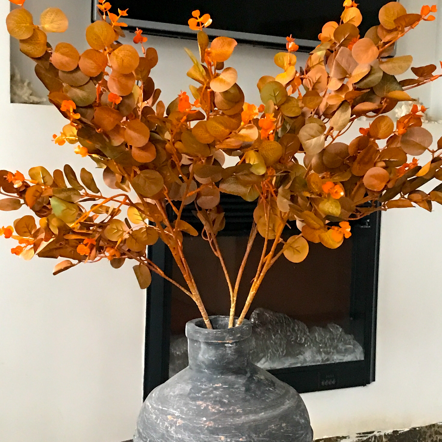 Fall Eucalyptus stems