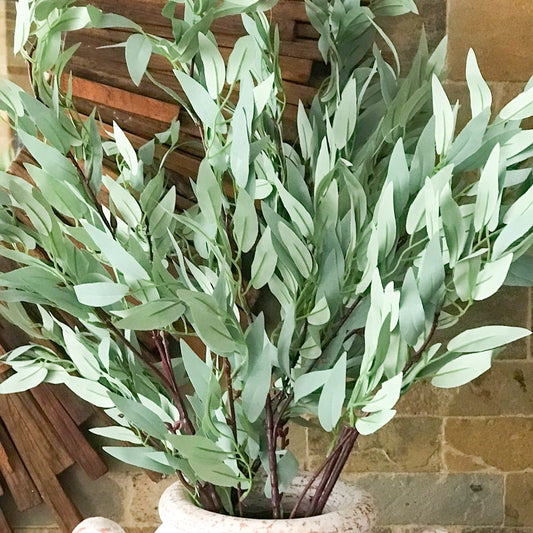 Willow euclyptus stems