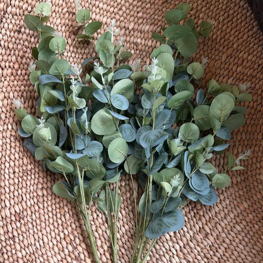 Eucalyptus Stems-green