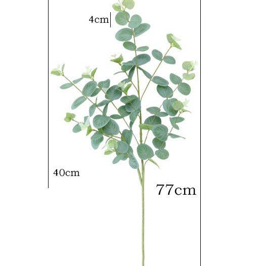 Eucalyptus Stems-green