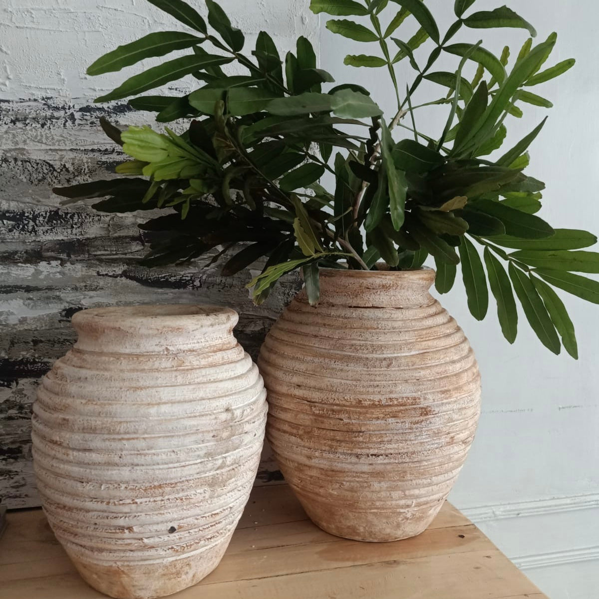 Olive Terracotta jars