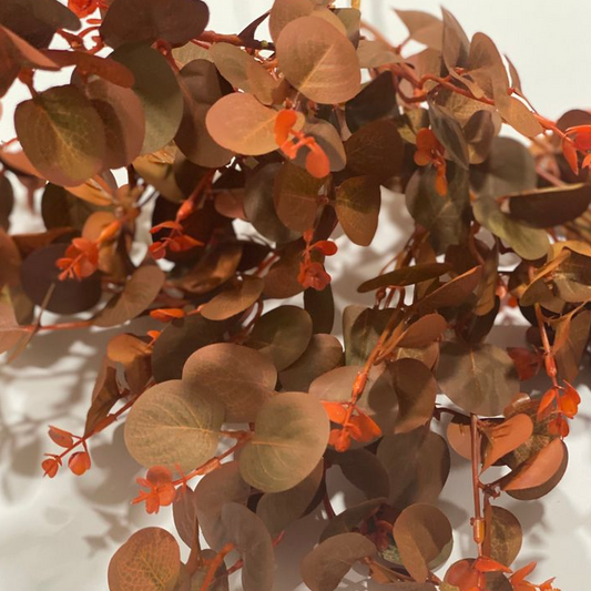 Eucalyptus stems