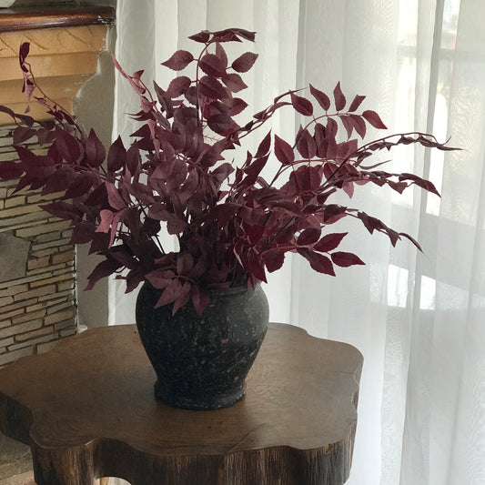 Burgundy stems