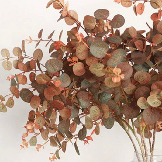 Fall Eucalyptus stems