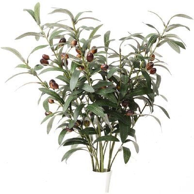 Olive stems