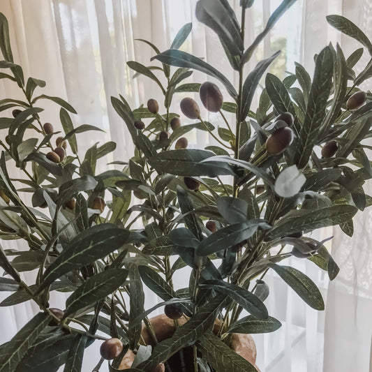 Olive stems